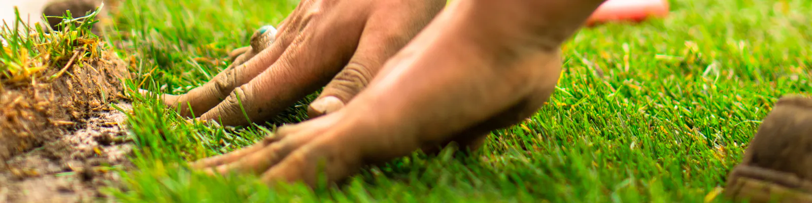 Hands pressing a fresh roll of turf into soil